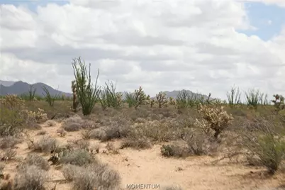 242-05-015, 016 Gene Autry Road, Yucca, AZ 86438 - Photo 7