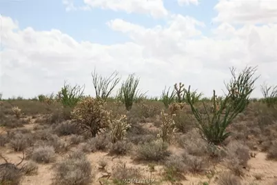 242-05-015, 016 Gene Autry Road, Yucca, AZ 86438 - Photo 9