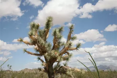 242-05-015, 016 Gene Autry Road, Yucca, AZ 86438 - Photo 17