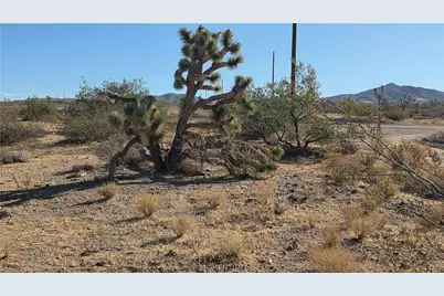 21435 W Palm Desert Drive, White Hills, AZ 86445 - Photo 21
