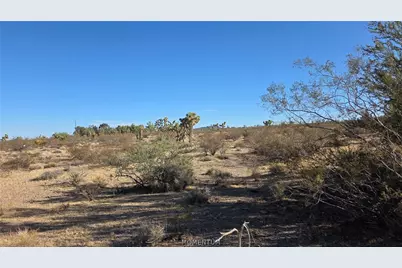 21435 W Palm Desert Drive, White Hills, AZ 86445 - Photo 9