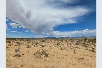 243-10-020 S Alamo Road, Yucca, AZ 86438 - Photo 5