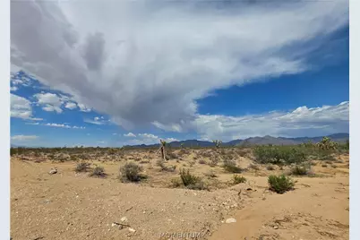 243-10-020 S Alamo Road, Yucca, AZ 86438 - Photo 3