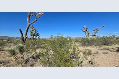 327-03-461 S Quail Drive, Dolan Springs, AZ 86441 - Photo 7