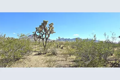 327-03-461 S Quail Drive, Dolan Springs, AZ 86441 - Photo 5