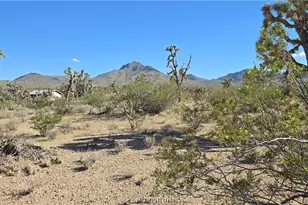 327-03-461 S Quail Dr, Dolan Springs, AZ 86441 - Photo 1