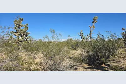327-03-461 S Quail Drive, Dolan Springs, AZ 86441 - Photo 3