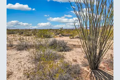 245-19-061 S Douglas Road, Yucca, AZ 86438 - Photo 3