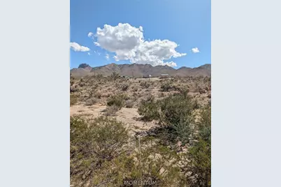 319-13-262 N Knoll, Dolan Springs, AZ 86441 - Photo 5