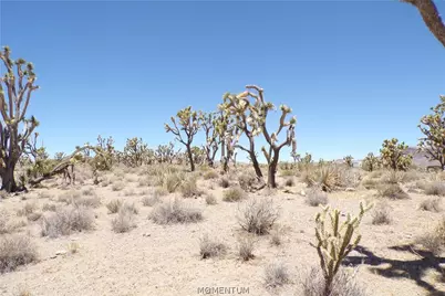 327-05-339 N Lost Mine Drive, Dolan Springs, AZ 86441 - Photo 13