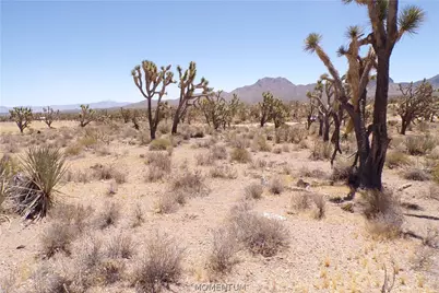327-05-339 N Lost Mine Drive, Dolan Springs, AZ 86441 - Photo 21