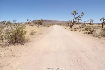 327-05-339 N Lost Mine Drive, Dolan Springs, AZ 86441 - Photo 3