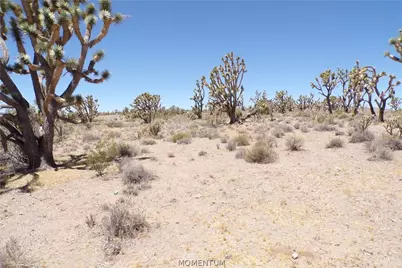 327-05-339 N Lost Mine Drive, Dolan Springs, AZ 86441 - Photo 11