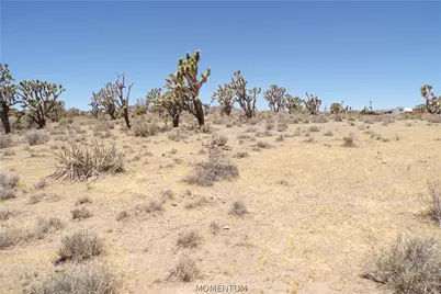 327-05-339 N Lost Mine Drive, Dolan Springs, AZ 86441 - Photo 5