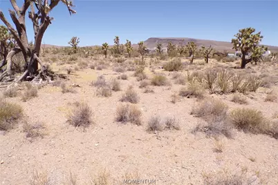 327-05-339 N Lost Mine Drive, Dolan Springs, AZ 86441 - Photo 19