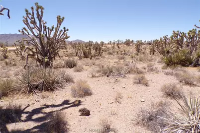 327-05-340 N Lost Mine Drive, Dolan Springs, AZ 86441 - Photo 25
