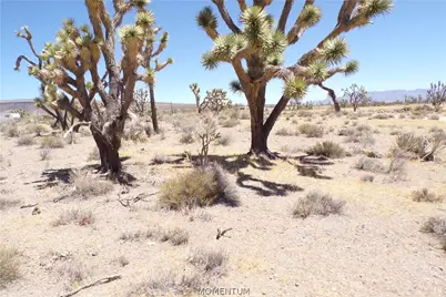 327-05-340 N Lost Mine Drive, Dolan Springs, AZ 86441 - Photo 11