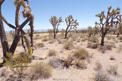 327-05-340 N Lost Mine Drive, Dolan Springs, AZ 86441 - Photo 19
