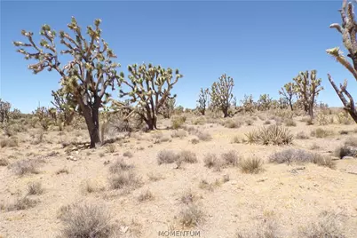 327-05-340 N Lost Mine Drive, Dolan Springs, AZ 86441 - Photo 9