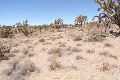 327-05-340 N Lost Mine Drive, Dolan Springs, AZ 86441 - Photo 17