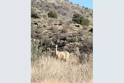 206-28-041B S Wrangler Way, Kingman, AZ 86409 - Photo 19
