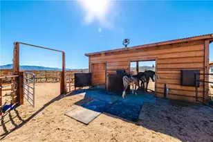 7649 N Frerichs Ranch Rd, Hackberry, AZ 86411 - Photo 31