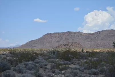 208-24-134 S Cameron Road, Yucca, AZ 86438 - Photo 23