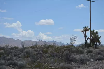 208-24-134 S Cameron Road, Yucca, AZ 86438 - Photo 29