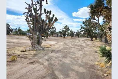 26475 N Peach Lane, Meadview, AZ 86444 - Photo 13