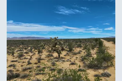 242-06-008 W Wild Bill Road, Yucca, AZ 86438 - Photo 9