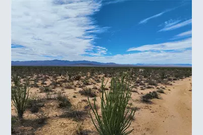 242-06-008 W Wild Bill Road, Yucca, AZ 86438 - Photo 5