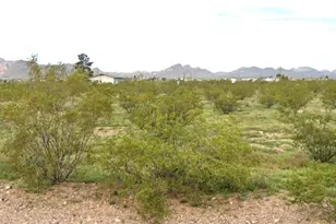 306-18-220 N Laguna Rd, Golden Valley, AZ 86413 - Photo 1