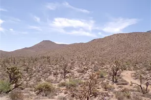 328-02-386 N Red Lake Dr, Dolan Springs, AZ 86441 - Photo 1