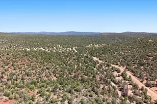 4619 N Lookout Cyn Rd, Kingman, AZ 86401 - Photo 39