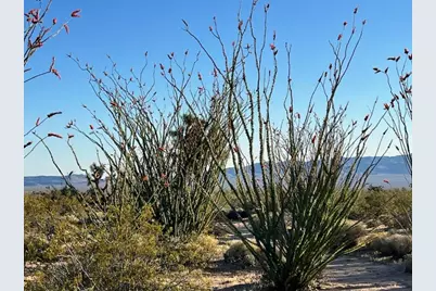 4302 W Speedway Road, Yucca, AZ 86438 - Photo 29