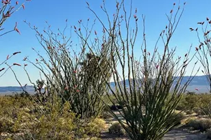 4302 W Speedway Rd, Yucca, AZ 86438 - Photo 29