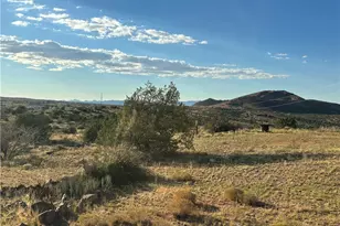 9801 E Nellie Dr, Kingman, AZ 86401 - Photo 47
