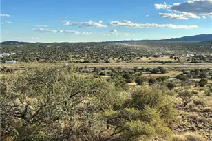 9801 E Nellie Dr, Kingman, AZ 86401 - Photo 45