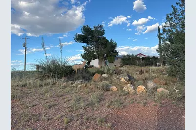 9801 E Nellie Drive, Kingman, AZ 86401 - Photo 59