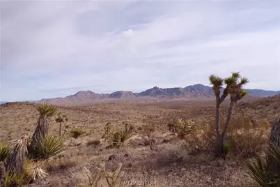 319-07-011B W 20th Street, Dolan Springs, AZ 86441 - Photo 3