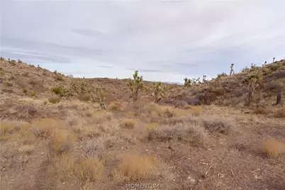 319-07-011B W 20th Street, Dolan Springs, AZ 86441 - Photo 27