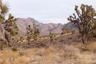 319-07-011B W 20th St, Dolan Springs, AZ 86441 - Photo 1