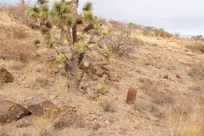 319-07-011B W 20th Street, Dolan Springs, AZ 86441 - Photo 31