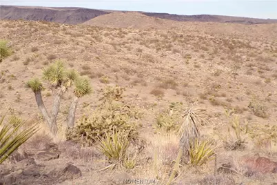 319-07-011B W 20th Street, Dolan Springs, AZ 86441 - Photo 7