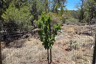 30901 W Ancient Way, Seligman, AZ 86337 - Photo 23