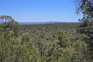 30901 W Ancient Way, Seligman, AZ 86337 - Photo 29