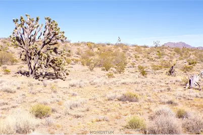 319-08-282 N Kaibab Road, Dolan Springs, AZ 86441 - Photo 25