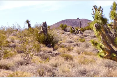 319-08-282 N Kaibab Road, Dolan Springs, AZ 86441 - Photo 29