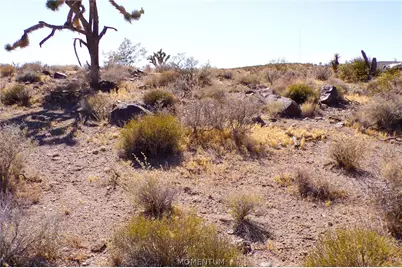 319-08-282 N Kaibab Road, Dolan Springs, AZ 86441 - Photo 33