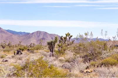 319-08-282 N Kaibab Road, Dolan Springs, AZ 86441 - Photo 39
